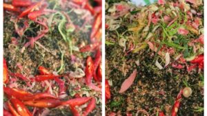 Sambal Oen Peugaga Khas Aceh (2)