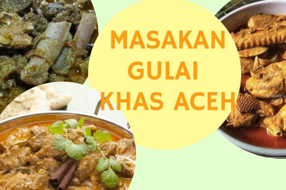 masakan gulai khas aceh