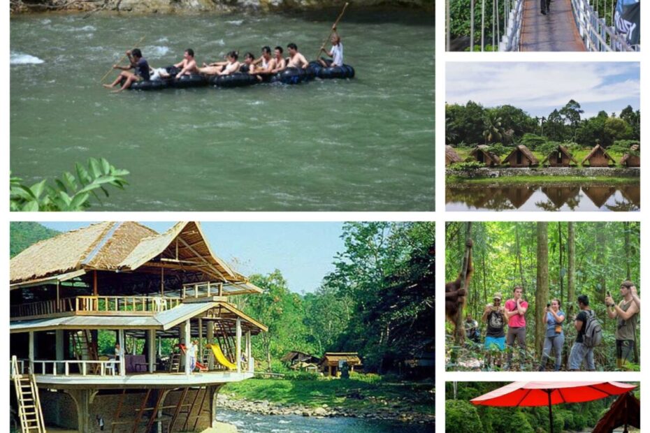 Bukit Lawang (1)