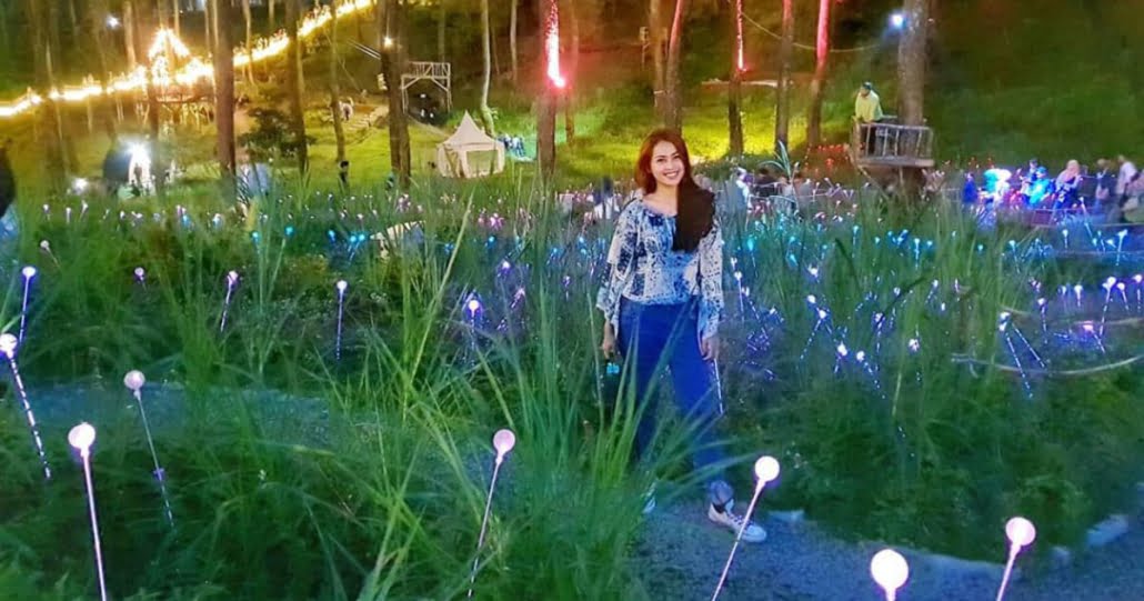 Dago Dream Park1