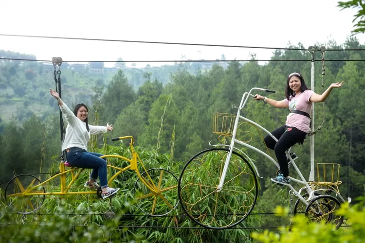 Dago Dream Park3