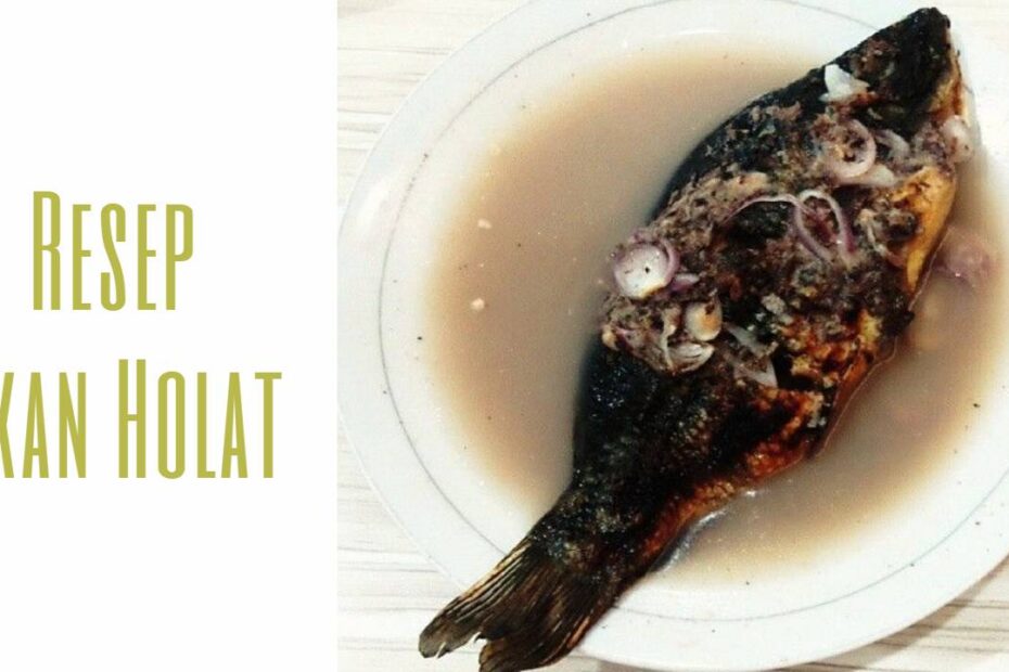 Ikan Holat (1)