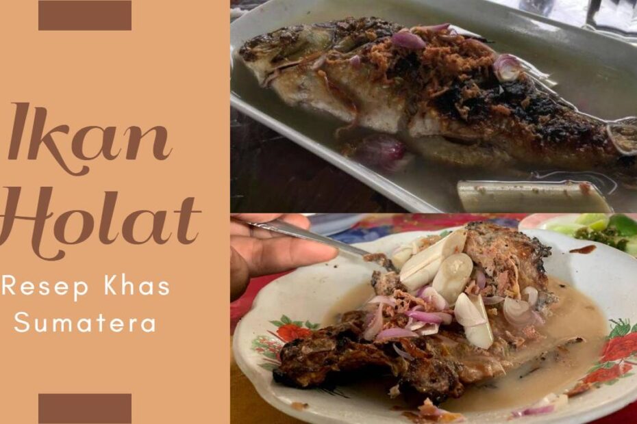 Ikan Holat