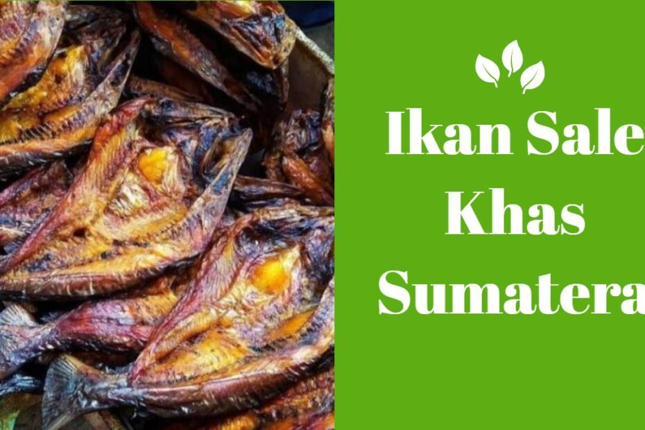 Ikan Sale Khas Sumatera