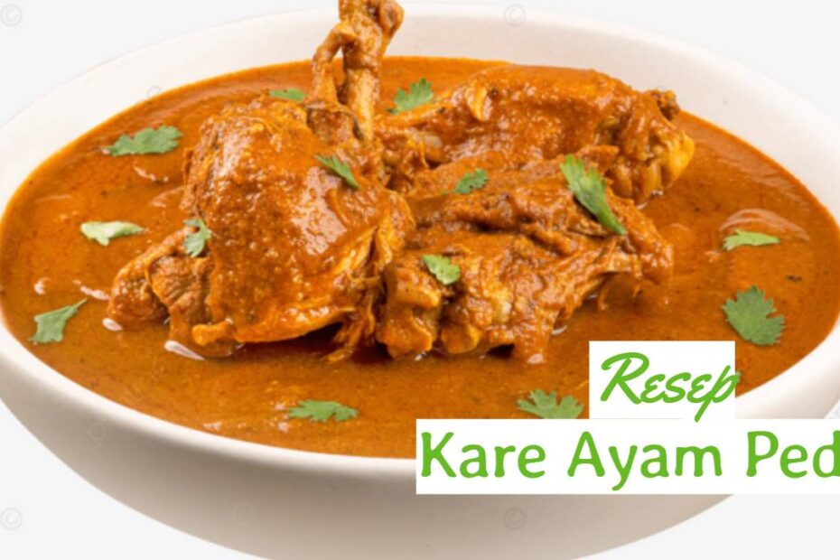 Kare Ayam Pedas (2)