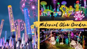 Milenial Glow Garden (1)