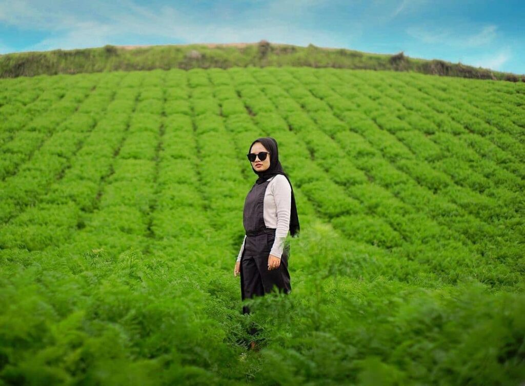 Wisata Alam Brakseng3