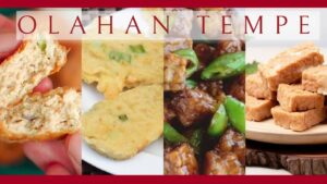 olahan tempe (1)