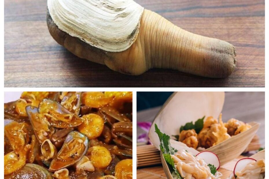 resep kerang gajah (2)