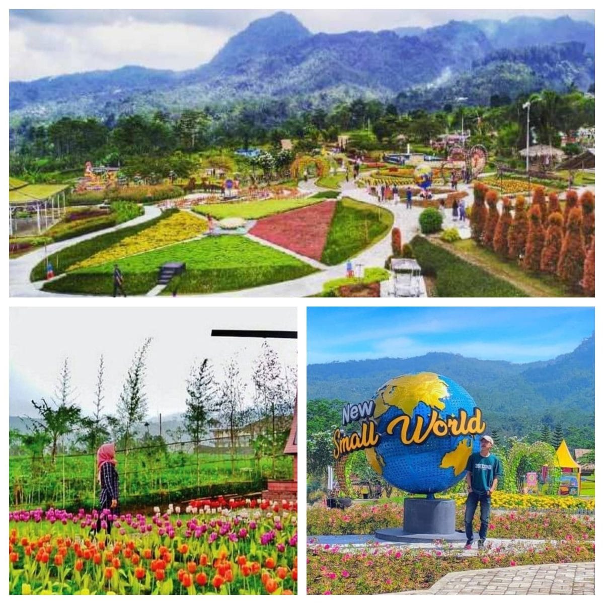 New Small World Baturaden (1)