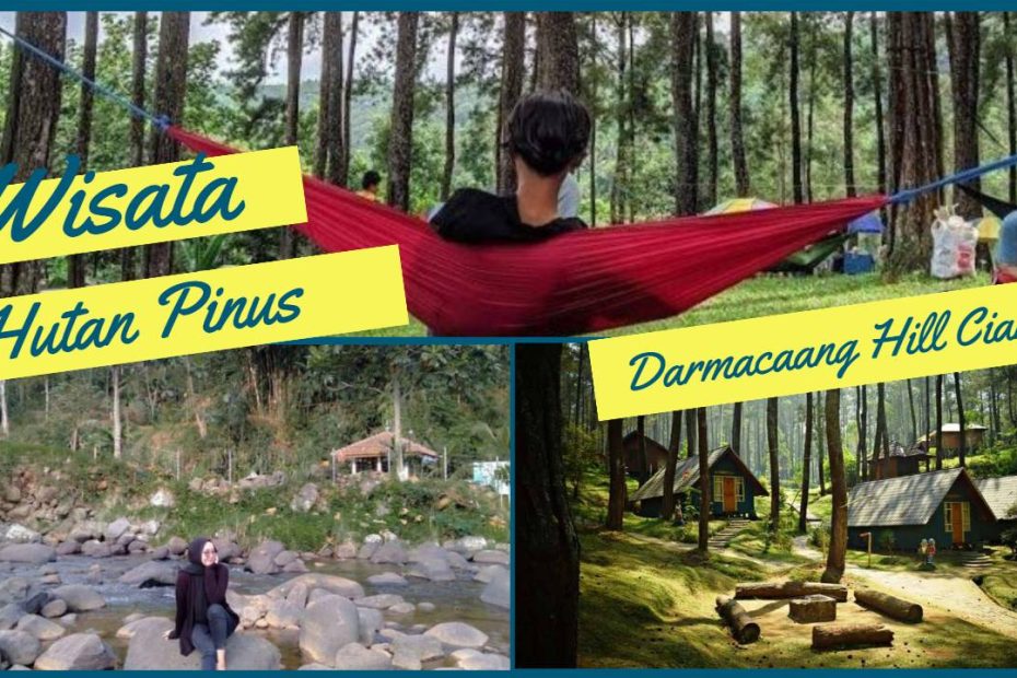Wisata Hutan Pinus Darmacaang Hill Ciamis (1)