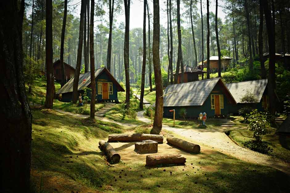 Wisata Hutan Pinus Darmacaang Hill Ciamis1