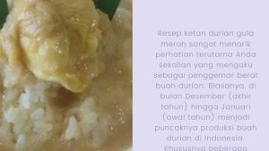 Ketan Durian Gula Merah (1)