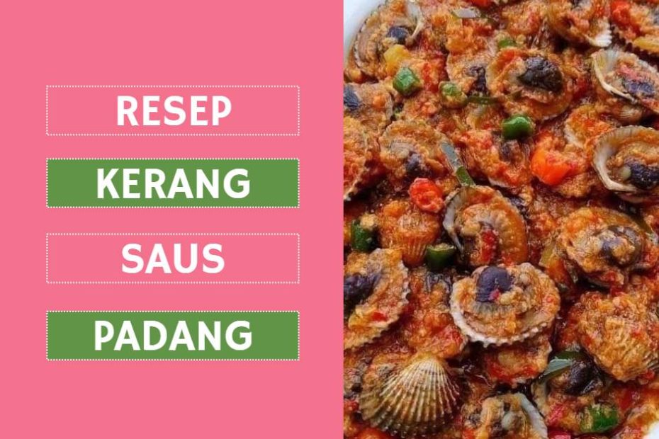 Resep Kerang Saus Padang (1)