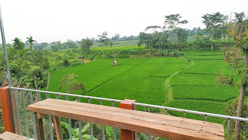 Wisata Kebun Pandansari1