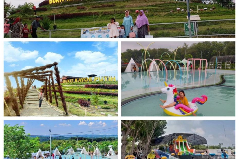 wisata bukit kayoe putih (2)