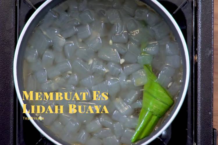Membuat Es Lidah Buaya (1)