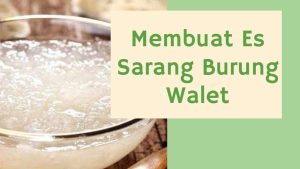 Membuat Es Sarang Burung Walet (1)