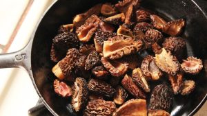 resep morel mushroom