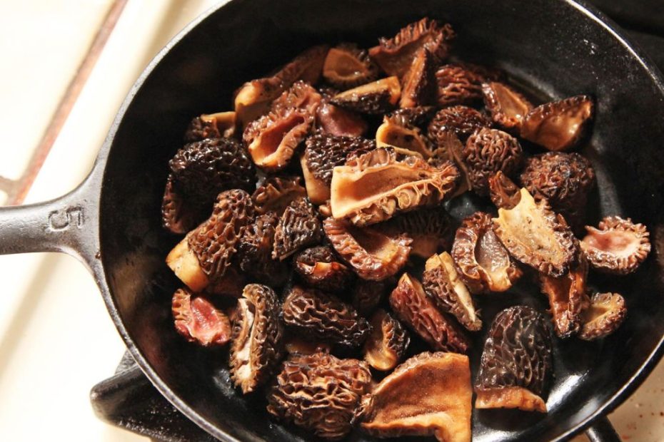 resep morel mushroom