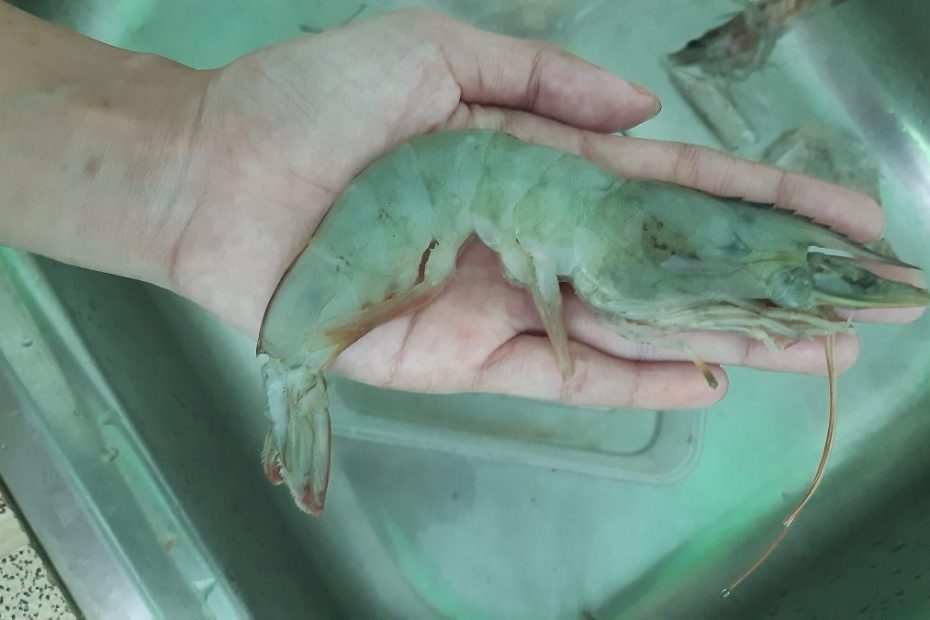 Udang Saus Padang
