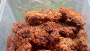 Resep Dendeng Ragi (1)