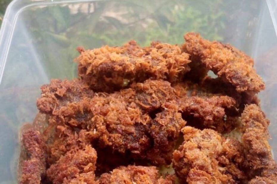 Resep Dendeng Ragi (1)