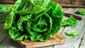 Salad Sayur untuk Diet (1)