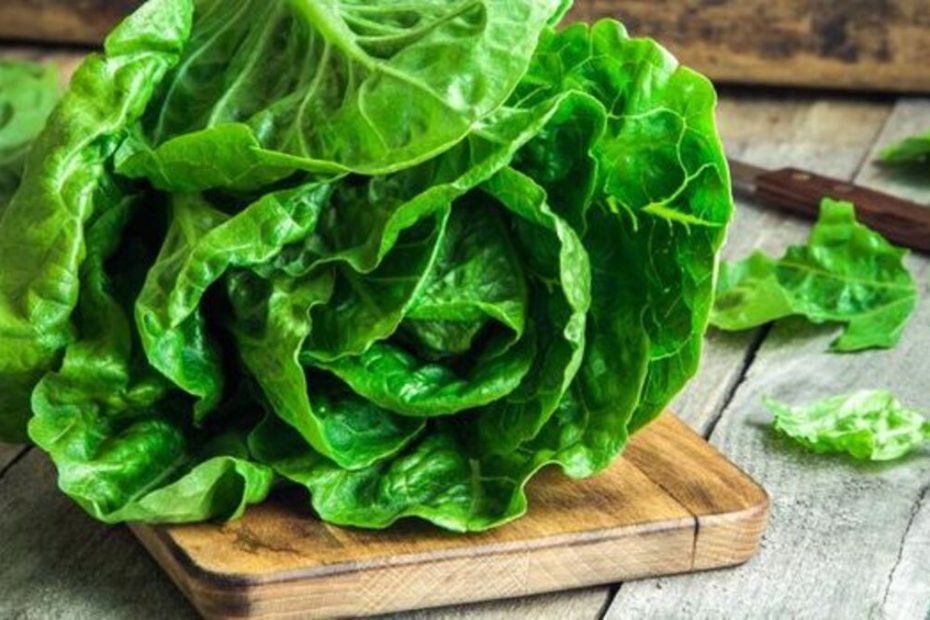 Salad Sayur untuk Diet (1)