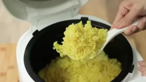 nasi kuning rice cooker