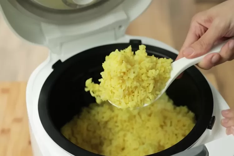nasi kuning rice cooker