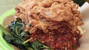 resep nasi tempong