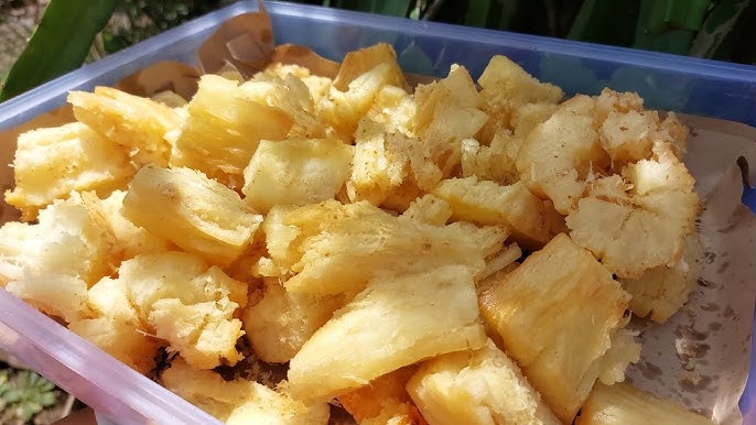 Cara Membuat Singkong Keju Merekah
