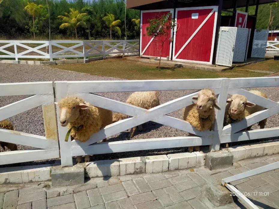 Adventure Land Romokalisari2