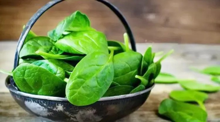 sayur bayam
